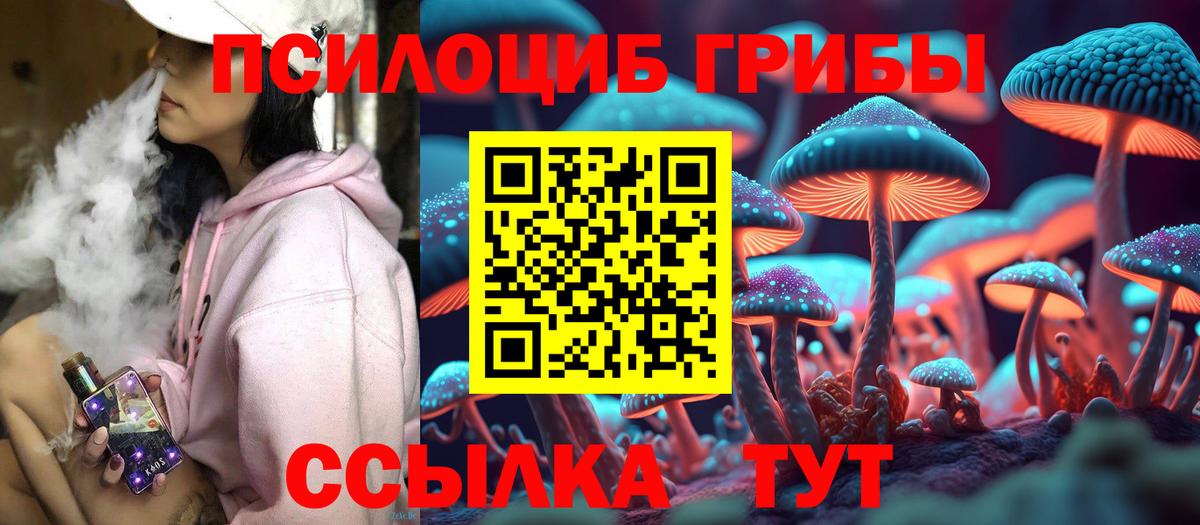 Псилоцибиновые грибы Magic Shrooms  Вход с VPN  Псилоцибиновые грибы Psilocybe  Югорск 
