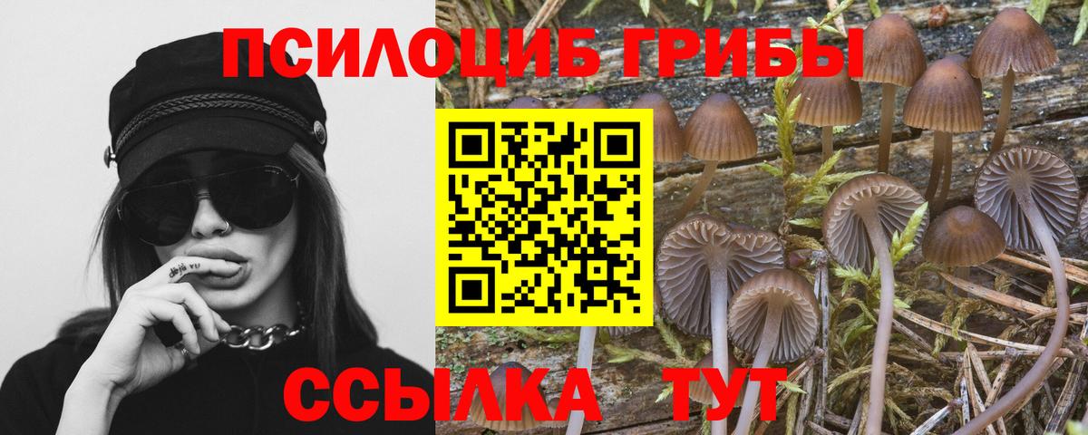 Галлюциногенные грибы Magic Shrooms Югорск